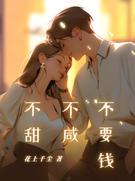 不甜不咸不要钱 封面