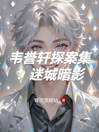 韦誉轩探案集：迷城暗影 封面