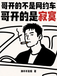 哥开的不是网约车,哥开的是寂寞 封面