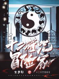 十二符咒冒险家 封面