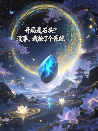 开局是石头?没事,我抢了个系统 封面