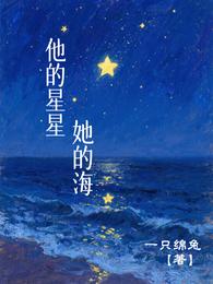 他的星星，她的海 封面