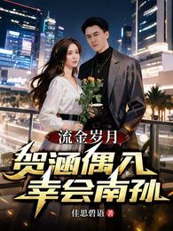 流金岁月：贺涵偶入幸会南孙 封面