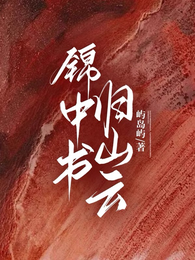 锦中书归山云 封面