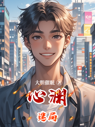 心渊迷局 封面