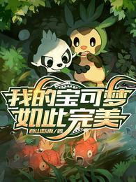 我的宝可梦如此完美 封面