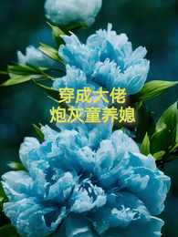 穿成大佬炮灰童养媳 封面