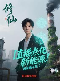 直播点化新能源,国家瞒不住了 封面