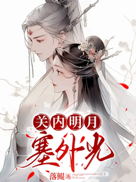 关内明月塞外光 封面