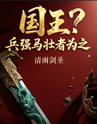国王？兵强马壮者为之 封面