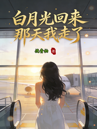 白月光回来那天我走了 封面