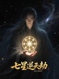 七星逆天劫 封面