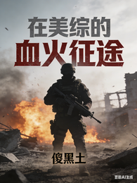 在美综的血火征途 封面
