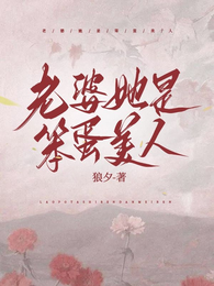 老婆她是笨蛋美人 封面