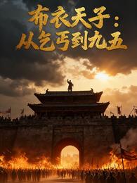布衣天子：从乞丐到九五 封面