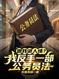 跟我讲人情?我反手一部公务员法 封面
