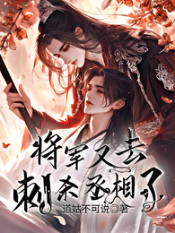 将军又去刺杀丞相了 封面