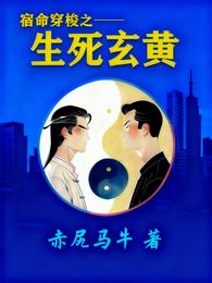 宿命穿梭之生死玄黄 封面