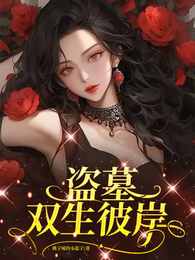 盗墓双生彼岸 封面