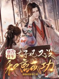 禀告将军，太子妃又没和离成功！ 封面