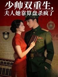 少帅双重生：夫人她靠算盘杀疯了 封面