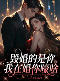 毁婚的是你，我在婚你嚎啥 封面