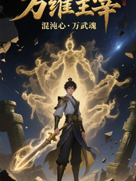 万维主宰：混沌心，万武魂 封面