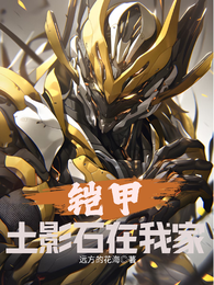 铠甲：土影石在我家 封面