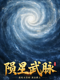 陨星武脉 封面