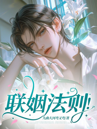 联姻法则 封面