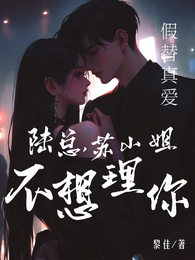 假替真爱:陆总,苏小姐不想理你 封面