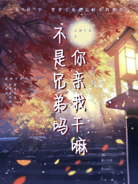 不是兄弟吗？你亲我干嘛 封面