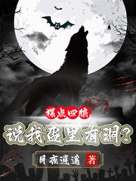 裸点四狼，说我盔里有洞？ 封面