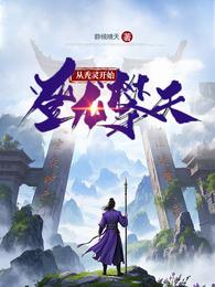 从秃灵开始登龙攀天 封面