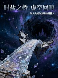 时盐之桥：虚空回响 封面