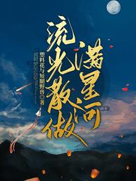流光散做满星河 封面