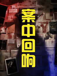 案中回响 封面