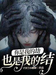 你是我的劫,也是我的结 封面
