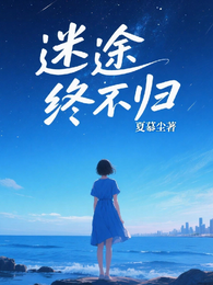 迷途终不归 封面