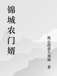 锦城农门婿 封面