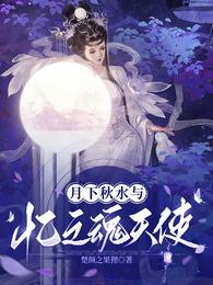 月下秋水与忆之魂天使 封面