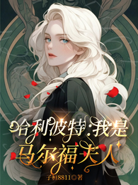 哈利波特:我是马尔福夫人 封面