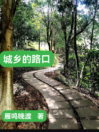 城乡的路口 封面