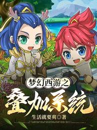 梦幻西游之叠加系统 封面