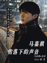 马嘉祺：雪落下的声音 封面