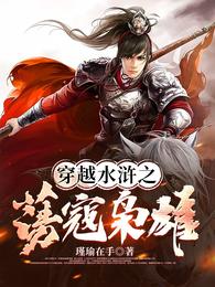 穿越水浒之荡寇枭雄 封面