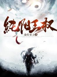 纯阳王权 封面
