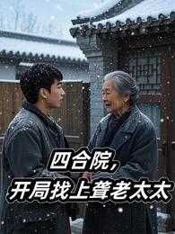 四合院:开局找上聋老太太 封面