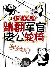 七零不洗白,踹翻军官老公轮椅 封面