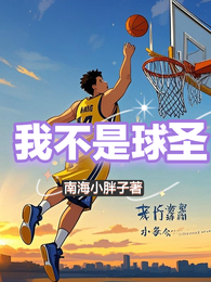 我不是球圣 封面